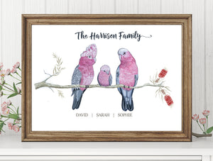 Personalised GALAH FAMILY Prints