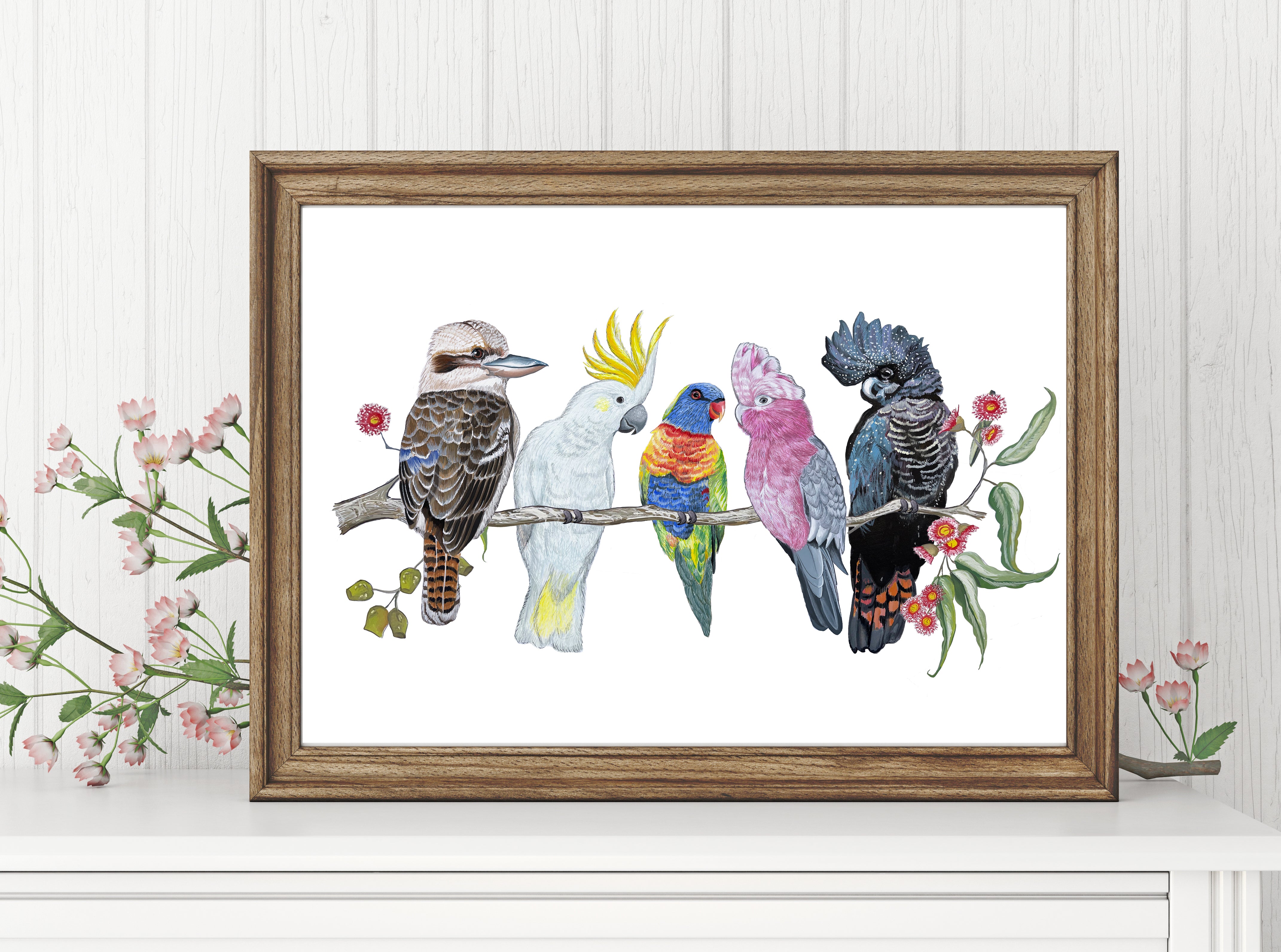 Australian Native Bird Print: Kookaburra, Black Cockatoo, Rainbow Lorikeet, Galah