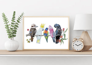 Australian Native Bird Print: Kookaburra, Black Cockatoo, Rainbow Lorikeet, Galah