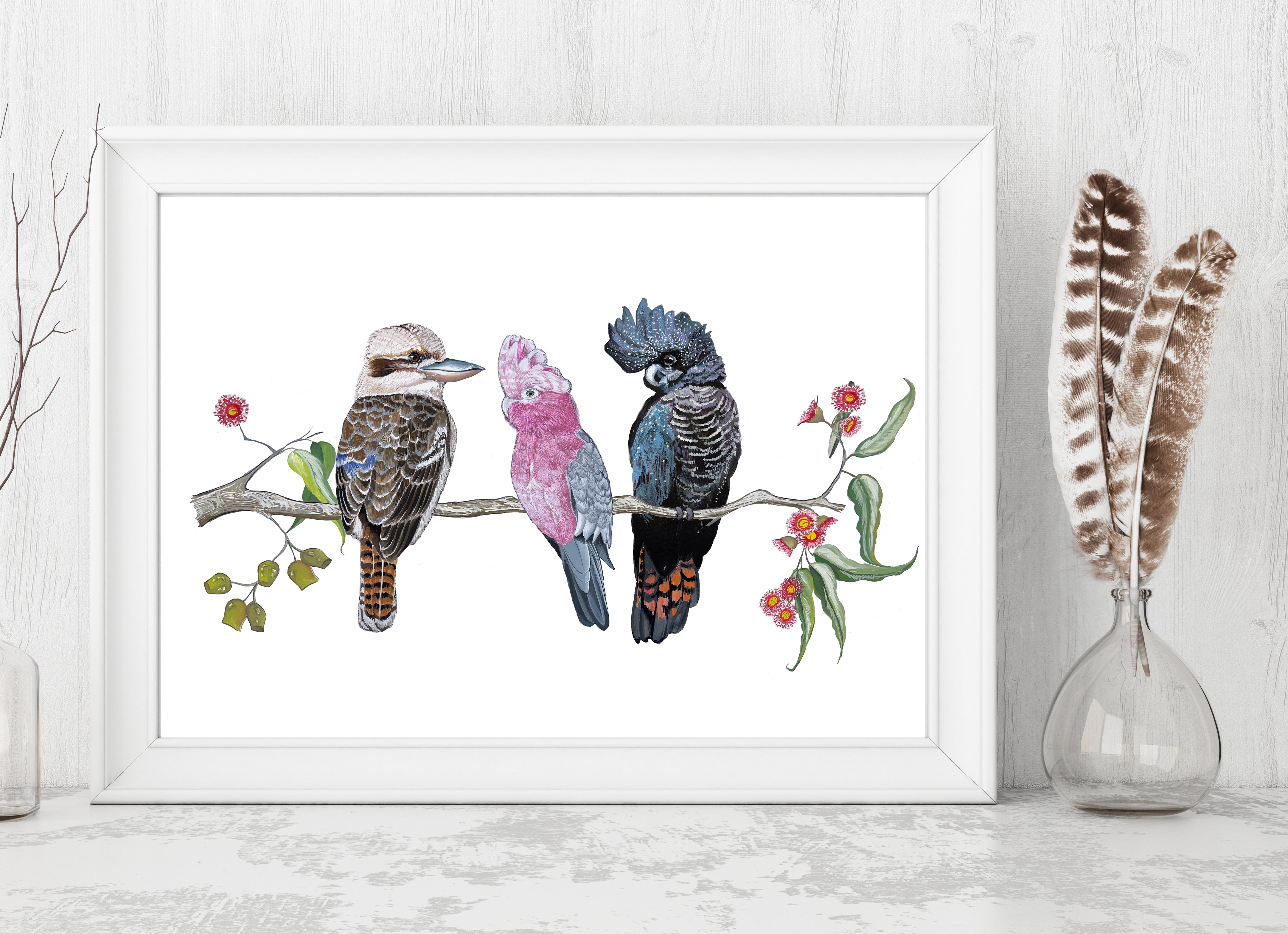 Australian Native Bird Print: Kookaburra, Black Cockatoo, Rainbow Lorikeet, Galah