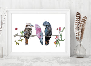 Australian Native Bird Print: Kookaburra, Black Cockatoo, Rainbow Lorikeet, Galah
