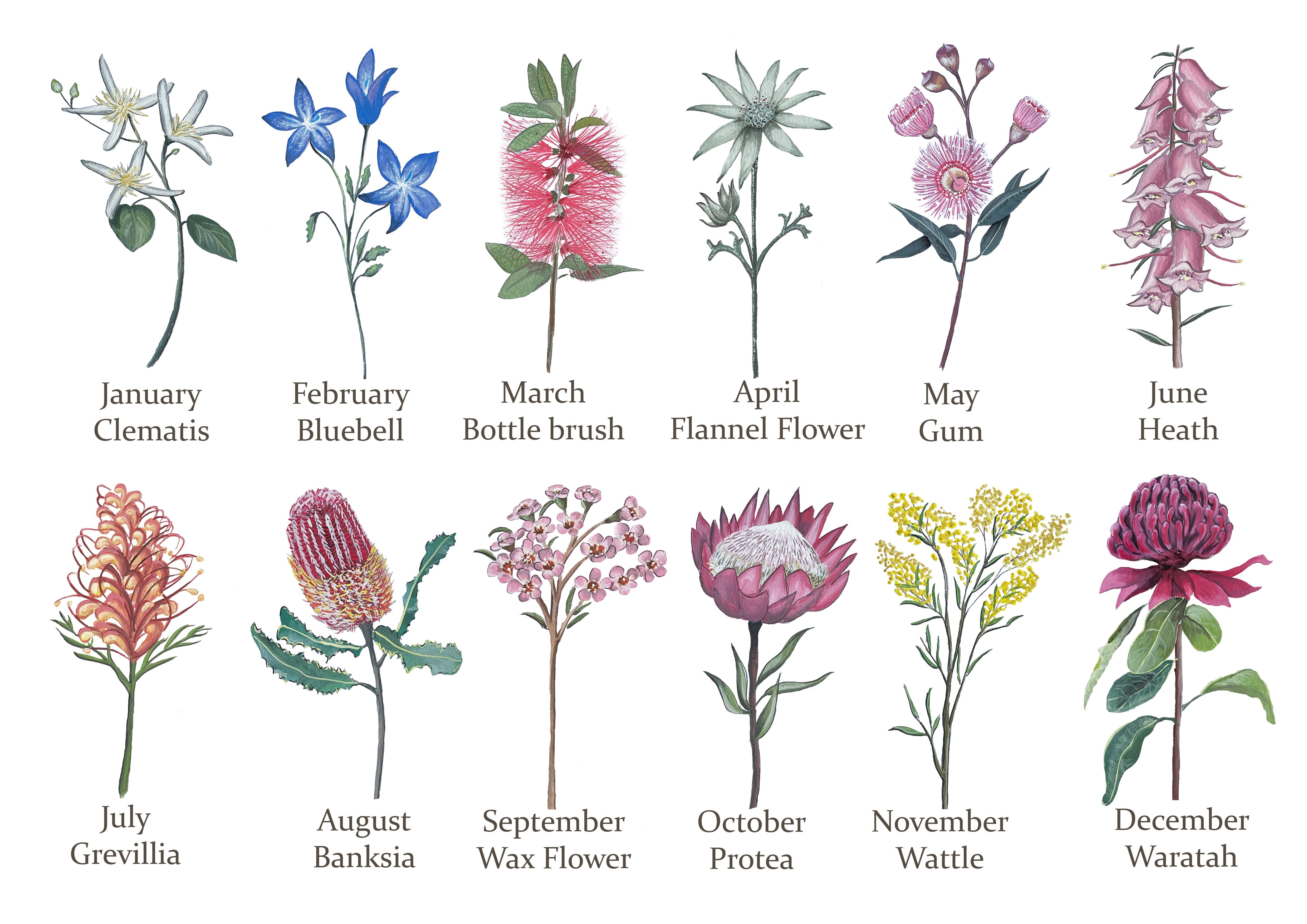 Florist Flower Chart