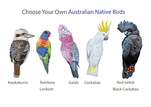 Australian Native Bird Print: Kookaburra, Black Cockatoo, Rainbow Lorikeet, Galah