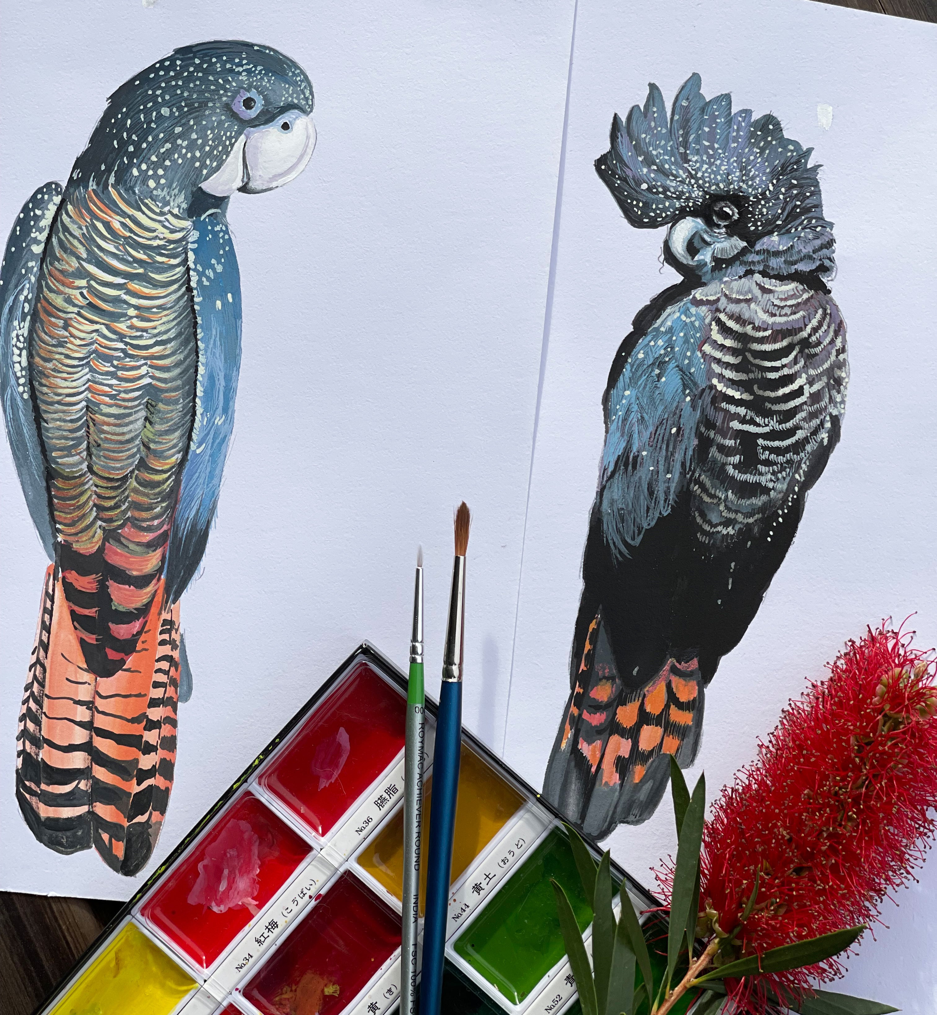 Personalised Red Tailed Black COCKATOO FAMILY Prints