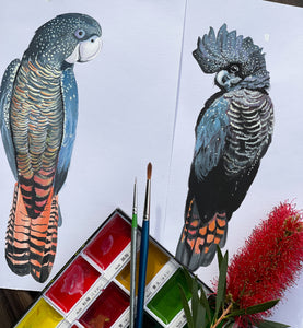 Personalised Red Tailed Black COCKATOO FAMILY Prints