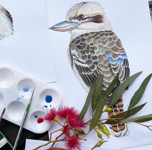 Australian Native Bird Print: Kookaburra, Black Cockatoo, Rainbow Lorikeet, Galah